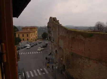 Camollia * Siena